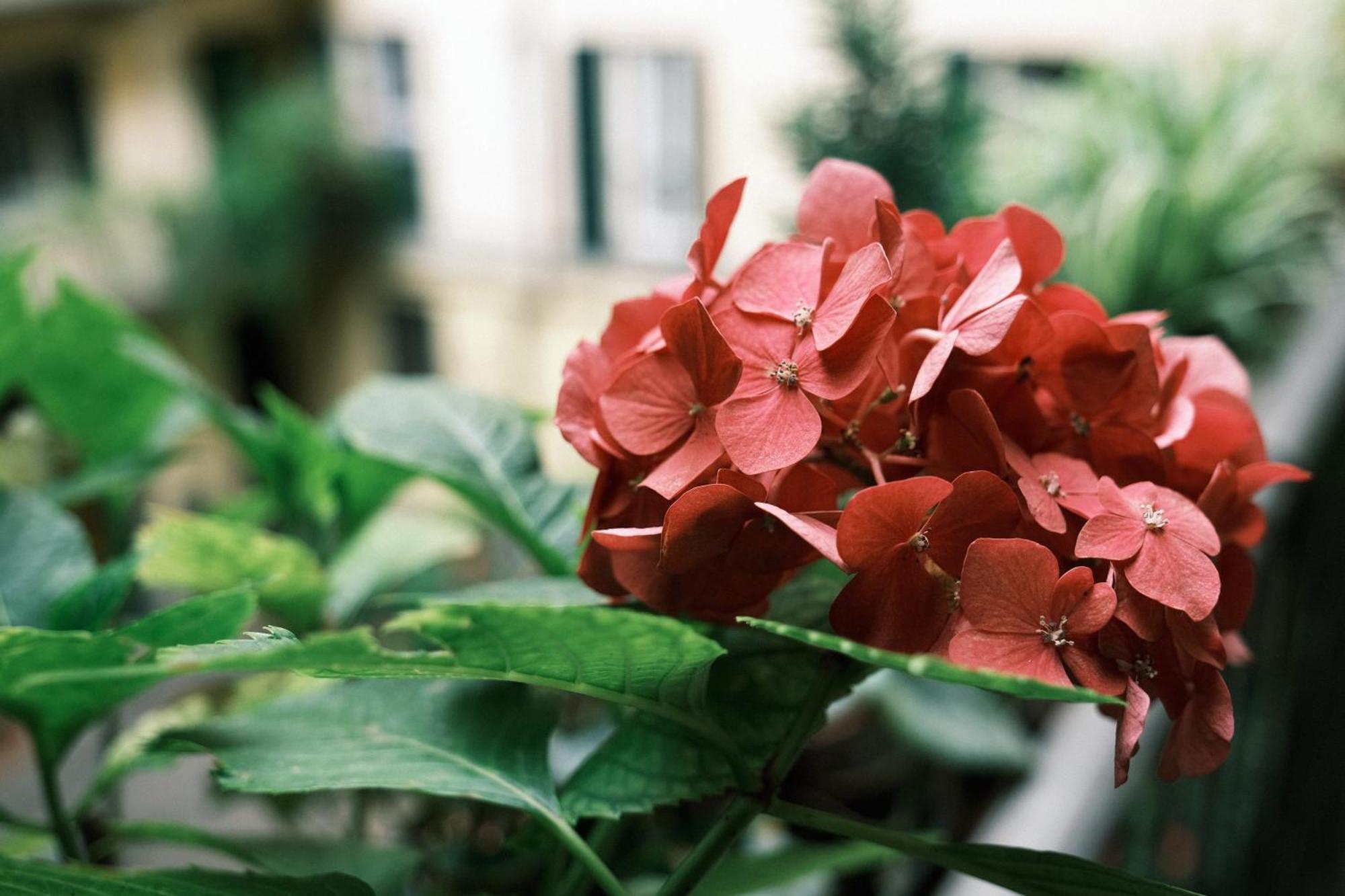 Comecasa Studio Vicino Stazione Centrale Milano Ngoại thất bức ảnh